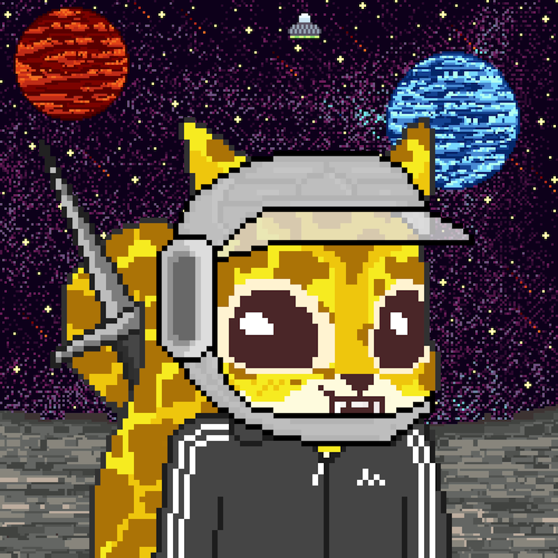 Pixel Squirrels #4530